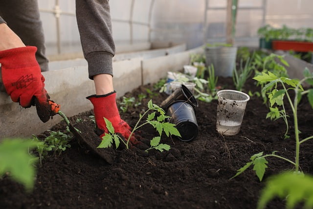 Tuinman in Goes